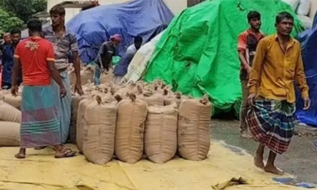 চাটখিলে ধান সংগ্রহের ব্যাপক অনিয়ম ও দুর্নীতির অভিযোগ, ধান নিয়ে বিপাকে কৃষক