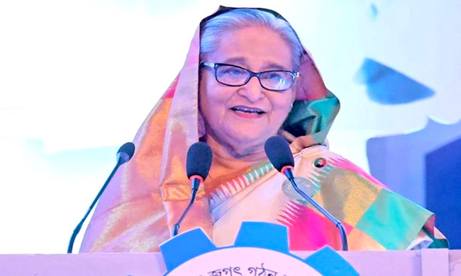 সরকার বহুমুখী ব্যবস্থা নিয়েছে বিদ্যুতের চাহিদা মেটাতে : প্রধানমন্ত্রী