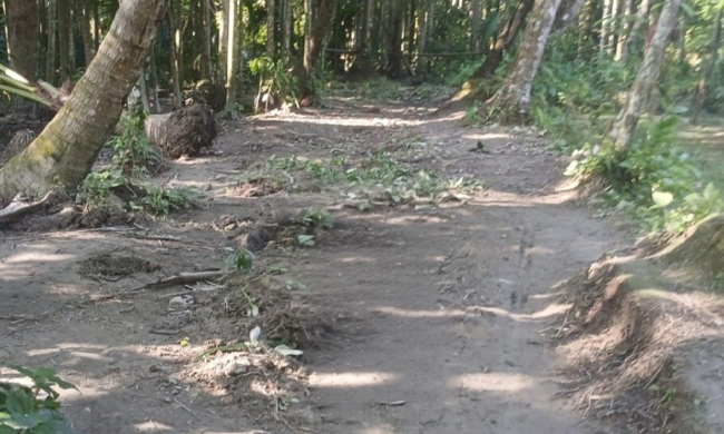 চাটখিলে আড়াই মাস পর মুক্তিযোদ্ধা পরিবারের চলাচলের রাস্তা উন্মুক্ত
