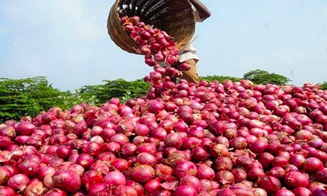 এ সপ্তাহেই ভারত থেকে আসছে ৫০ হাজার টন পেঁয়াজ